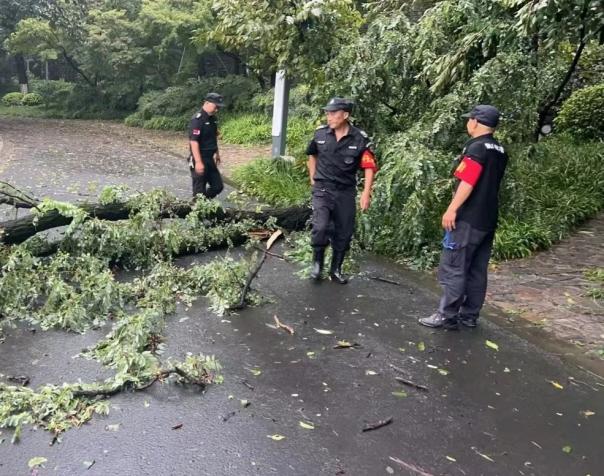 C:/Users/BA/Desktop/風(fēng)雨過后南京保安迅速行動(dòng)，恢復(fù)安“寧”面貌/7.jpg7